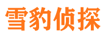 徐汇侦探公司